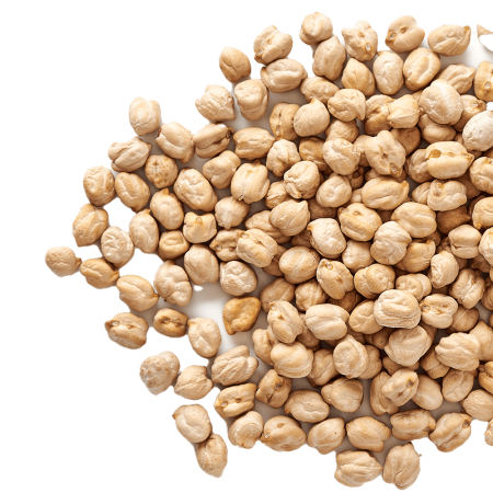 Dried pulses isolated