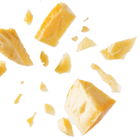 Parmigiano Reggiano isolated