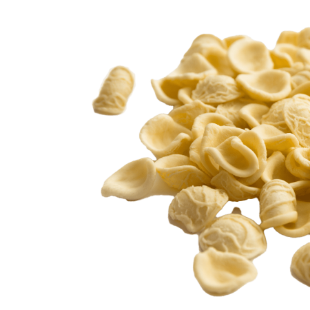 Speciality Pasta isolated