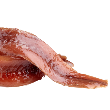 Acciughe isolated