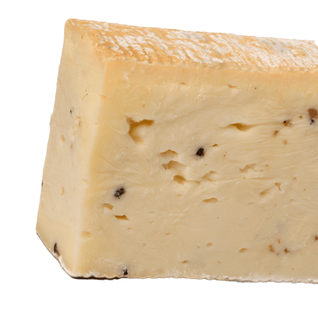 Taleggio e Quartirolo isolated