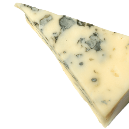 Gorgonzola isolated