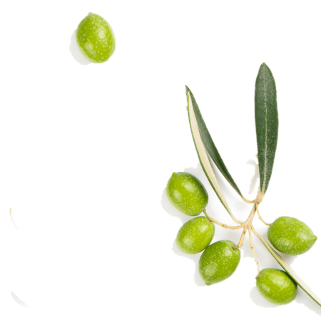 Olives isolated