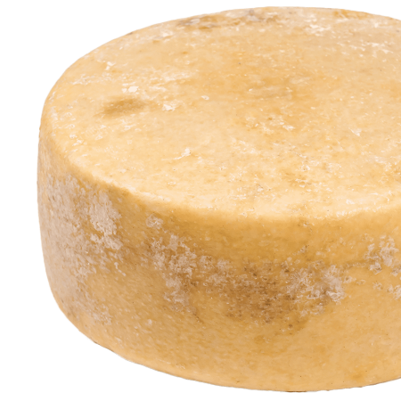 Pecorino isolated