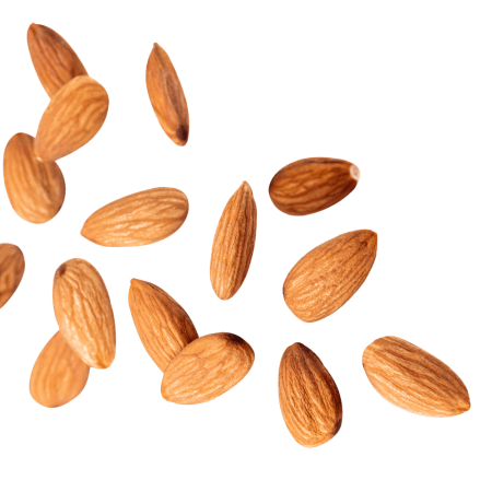 Nuts isolated