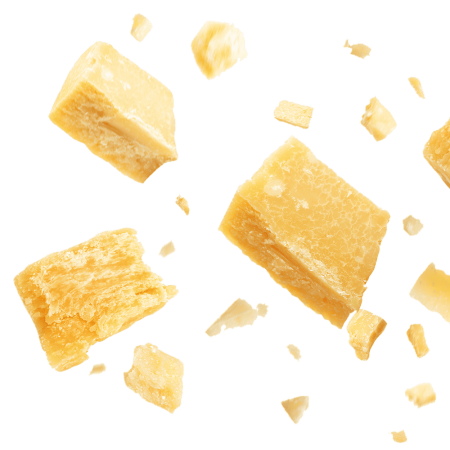 Parmigiano Reggiano isolated