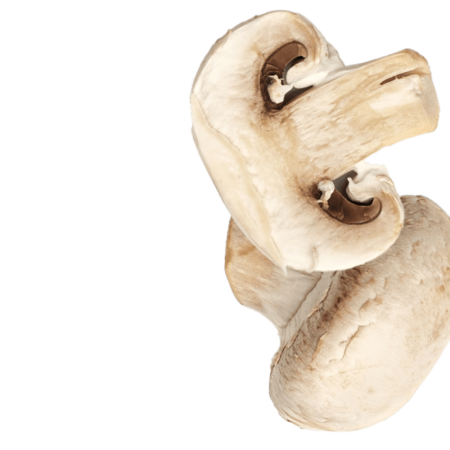 Altri vegetali isolated
