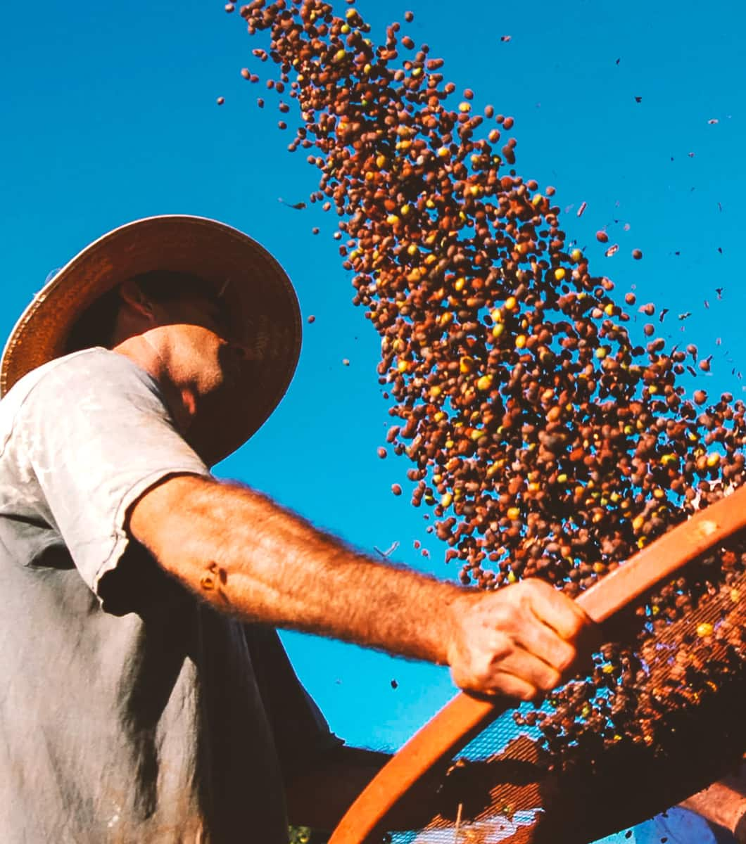 Caffè speciali Piaceri Dal Mondo, ideali sempre