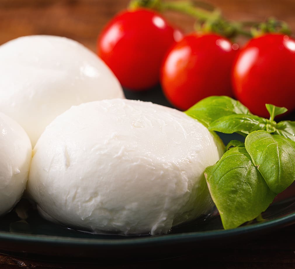 Buffalo Milk Mozzarella