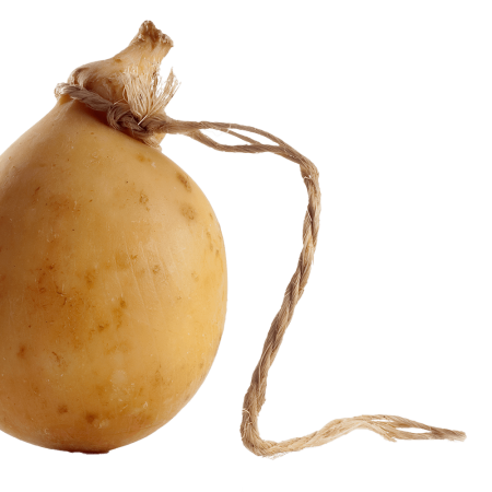 Caciocavallo and Provolone isolated