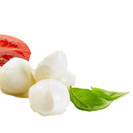 Buffalo Milk Mozzarella isolated