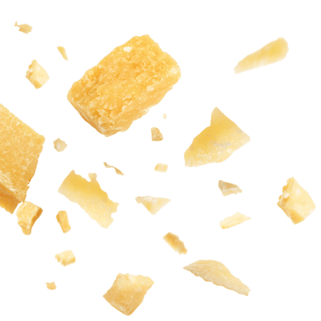Grana Padano isolated